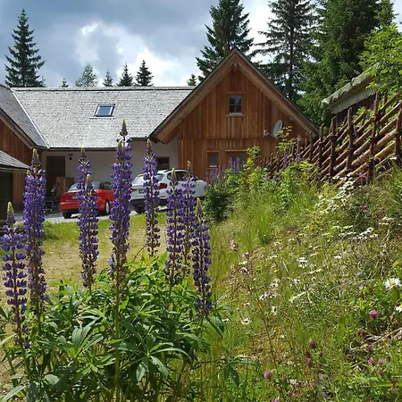 Holzmeisterhuette Teichalm-sommeralm Lejlighed *