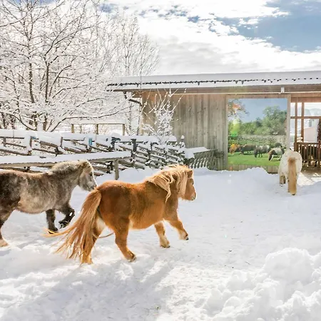 Holzmeisterhuette Teichalm-sommeralm