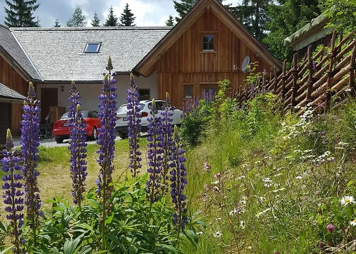 Holzmeisterhütte Teichalm-sommeralm Apartamento *