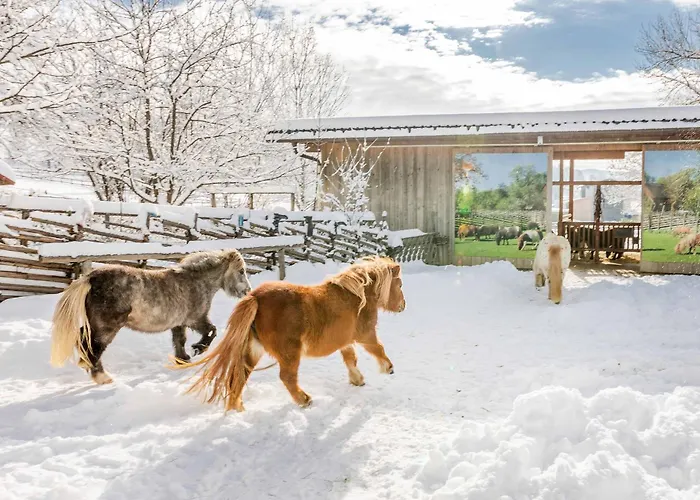 Holzmeisterhütte Teichalm-sommeralm