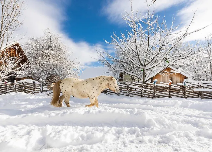 Holzmeisterhuette Teichalm-sommeralm *